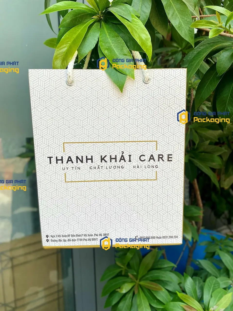 Túi giấy Thanh Khải Care