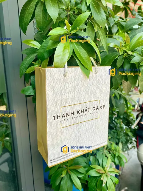Túi giấy Thanh Khải Care – ảnh 2