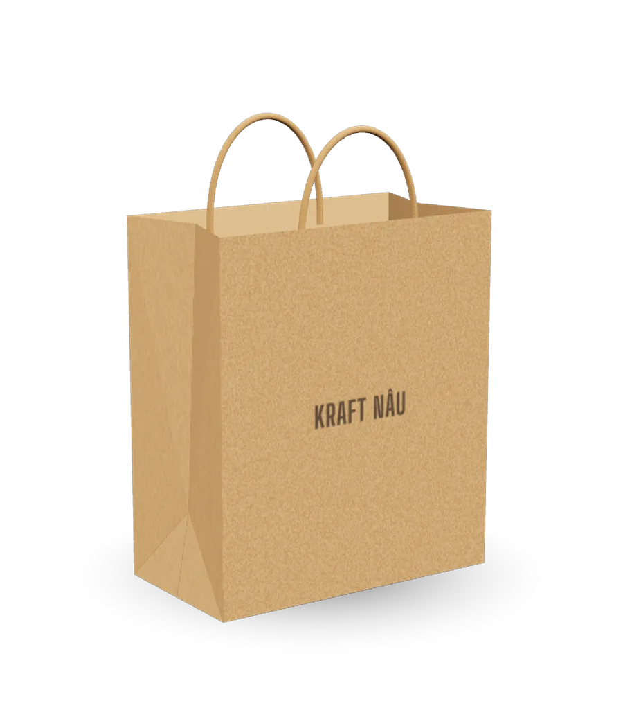 Túi giấy Kraft nâu minh hoạ 3D